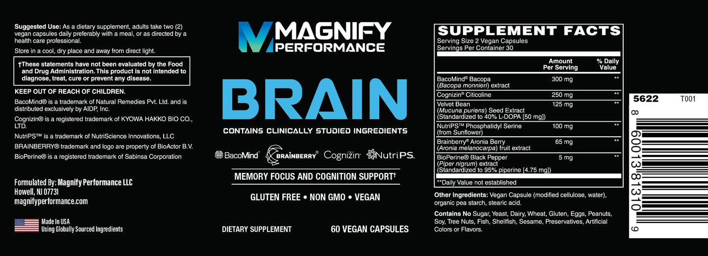 magnify BRAIN