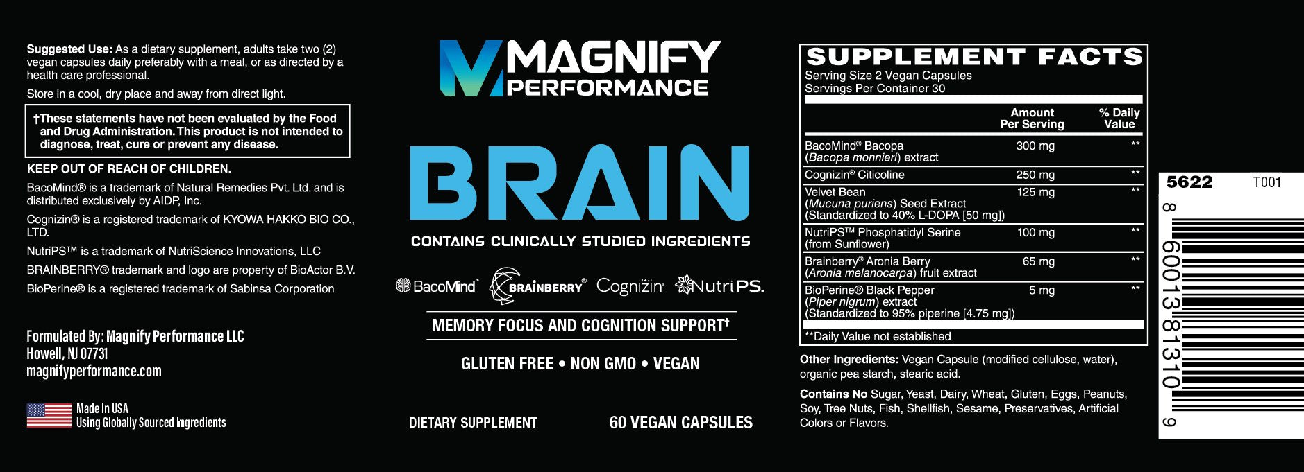 magnify BRAIN